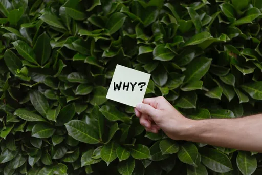 Blogbild 5 Gründe, warum regelmäßige Massagen gut für die Gesundheit sind des Users office@balancio.at