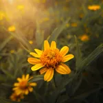 Galeriebild Mathias Jöhânnsén