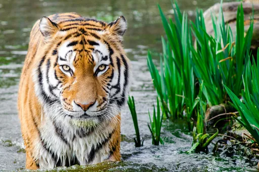 Blogbild Mein neuer BLOG Beitrag des Users login@test.at