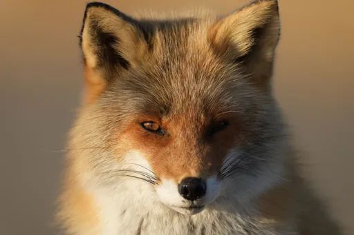 Blogbild COOL des Users markus.l+@arkulpa.at