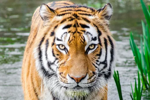 Blogbild Das ist ein super Titel der auch mal länger sein kann und dann umbricht hoffe ich des Users schulz-pannocha@freetest.at